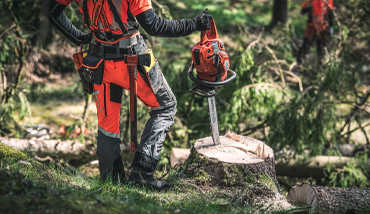 forestry tools