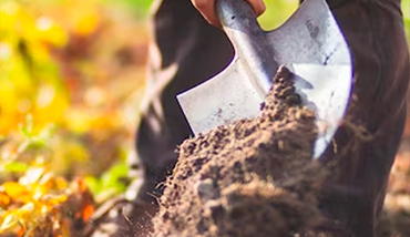 gardening1