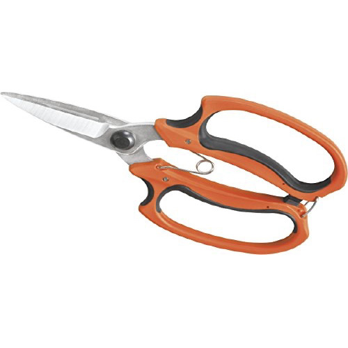 SCISSOR